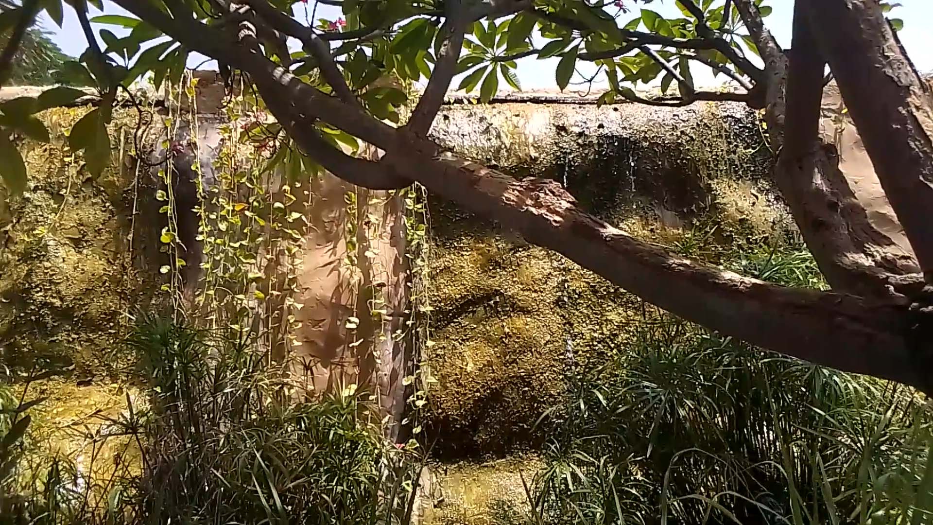 Cascade proche restaurant